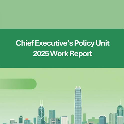 Chief Executive's Policy Unit 2025 Work Report